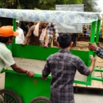 गरीबों के ठेले हटे, लेकिन भू-माफियाओं पर कार्रवाई कब? कोर्ट के सामने सरकारी जमीन पर अवैध प्लाटिंग का मामला गरमाया